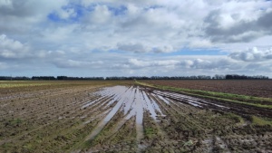 February.
Fields east of Butterwick looking towards Roman Bank, 16/2/2024&nbsp;Select this image to see a larger version. 