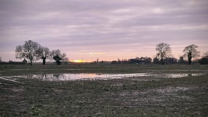 December. 
A soggy field south-west of Butterwick, 15/12/2023&nbsp;Select this image to see a larger version. 