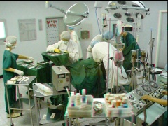 . Select this image to see a larger version. 