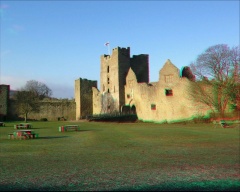 . Select this image to see a larger version. 