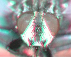 . Select this image to see a larger version. 