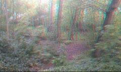 . Select this image to see a larger version. 