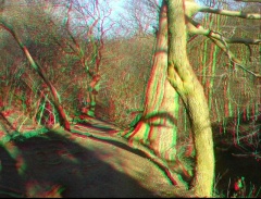 . Select this image to see a larger version. 