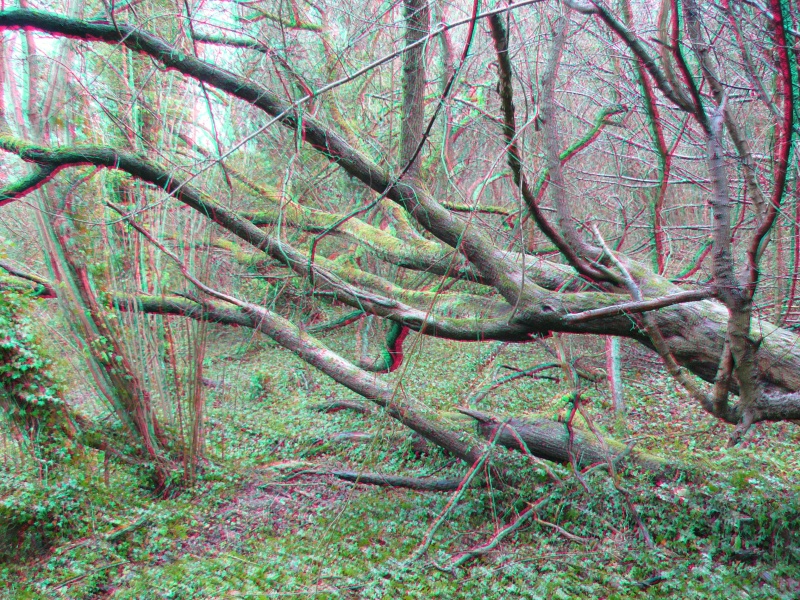 Select this image to see a larger version. 