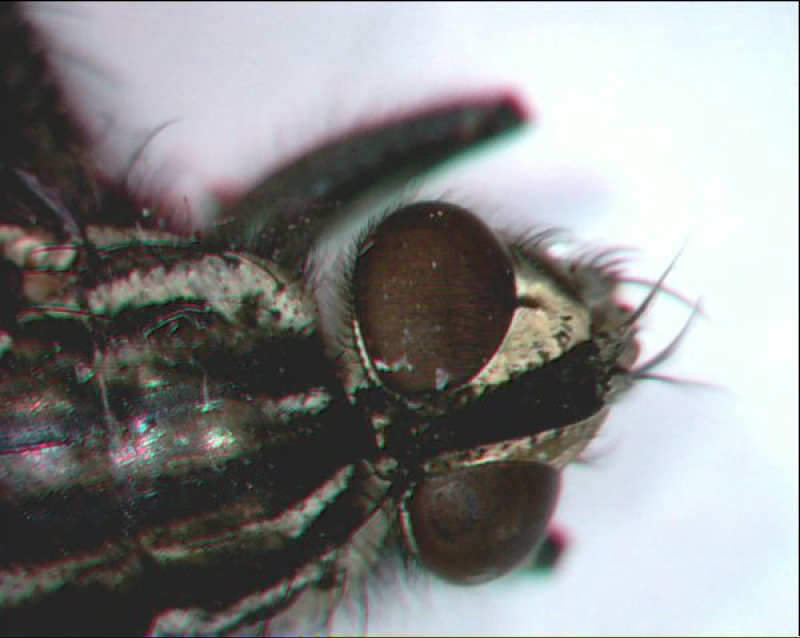 Select this image to see a larger version. 