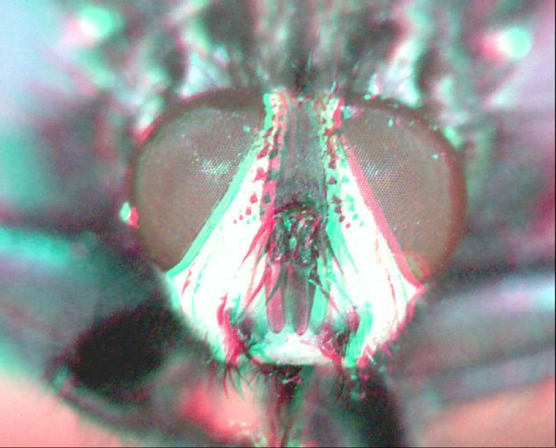 Select this image to see a larger version. 