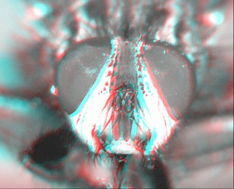 Select this image to see a larger version. 