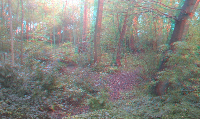 Select this image to see a larger version. 