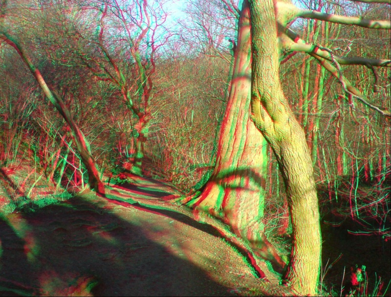 Select this image to see a larger version. 