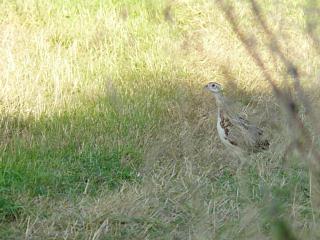 &nbsp;Select this image to see a larger version. 