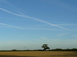 &nbsp;Select this image to see a larger version. 