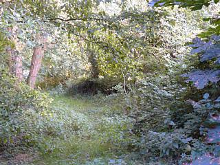 &nbsp;Select this image to see a larger version. 