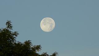 &nbsp;Select this image to see a larger version. 