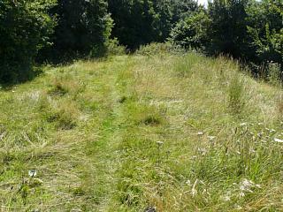 &nbsp;Select this image to see a larger version. 