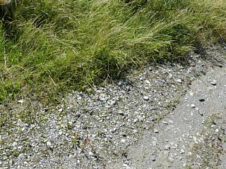 &nbsp;Select this image to see a larger version. 