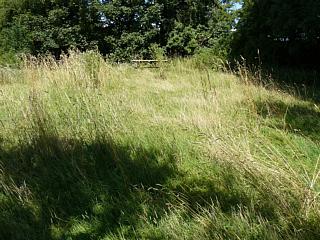 &nbsp;Select this image to see a larger version. 