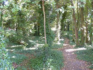 &nbsp;Select this image to see a larger version. 