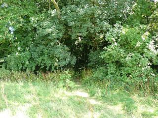 &nbsp;Select this image to see a larger version. 