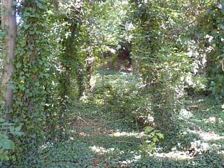 &nbsp;Select this image to see a larger version. 