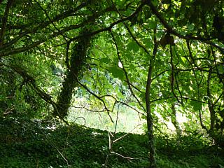 &nbsp;Select this image to see a larger version. 