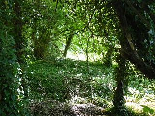 &nbsp;Select this image to see a larger version. 