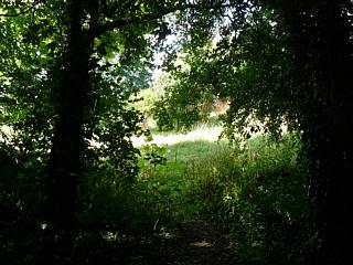 &nbsp;Select this image to see a larger version. 