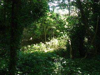 &nbsp;Select this image to see a larger version. 