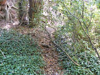 &nbsp;Select this image to see a larger version. 