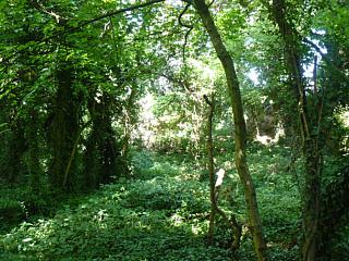 &nbsp;Select this image to see a larger version. 