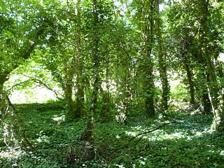 &nbsp;Select this image to see a larger version. 