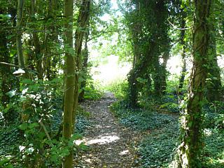 &nbsp;Select this image to see a larger version. 