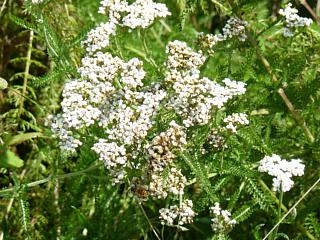 &nbsp;Select this image to see a larger version. 