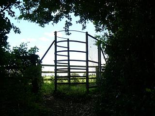 &nbsp;Select this image to see a larger version. 