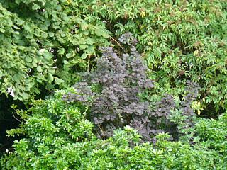 &nbsp;Select this image to see a larger version. 