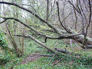 &nbsp;Select this image to see a larger version. 