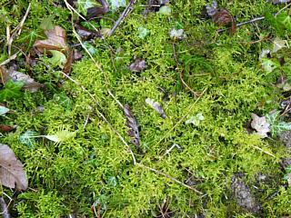 &nbsp;Select this image to see a larger version. 