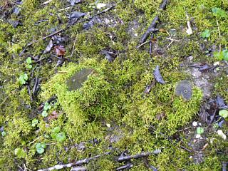 &nbsp;Select this image to see a larger version. 