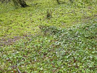 &nbsp;Select this image to see a larger version. 