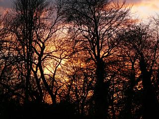 &nbsp;Select this image to see a larger version. 