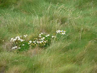 &nbsp;Select this image to see a larger version. 