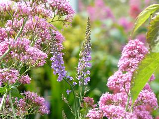 &nbsp;Select this image to see a larger version. 