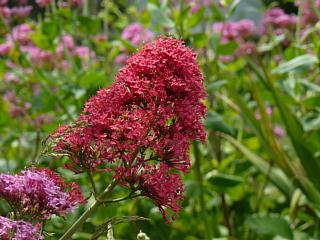 &nbsp;Select this image to see a larger version. 