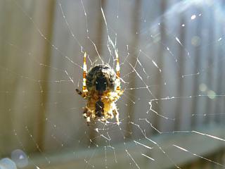 &nbsp;Select this image to see a larger version. 