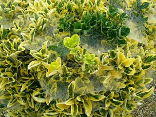 &nbsp;Select this image to see a larger version. 