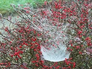 &nbsp;Select this image to see a larger version. 