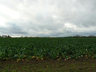 &nbsp;Select this image to see a larger version. 