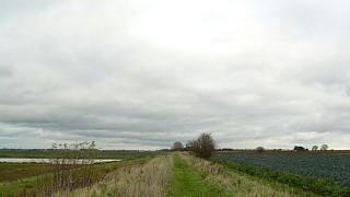 &nbsp;Select this image to see a larger version. 