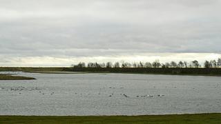 &nbsp;Select this image to see a larger version. 