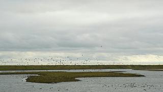 &nbsp;Select this image to see a larger version. 