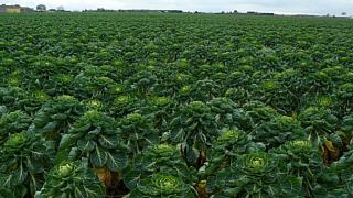 &nbsp;Select this image to see a larger version. 